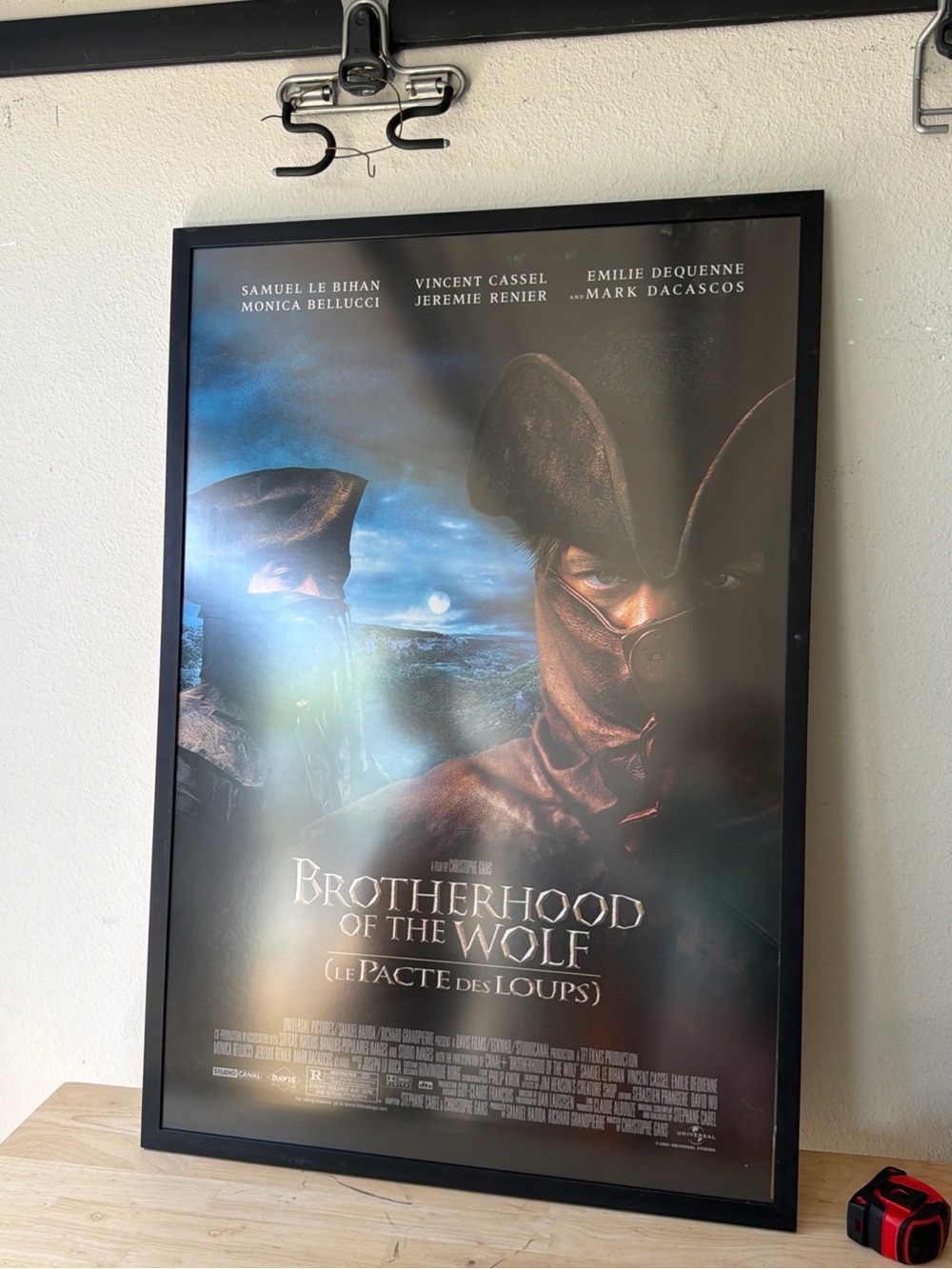 Black and Blue Brotherhood of the Wolf Art Poster